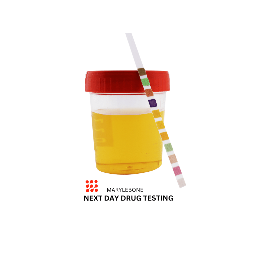 Next Day Drug Test