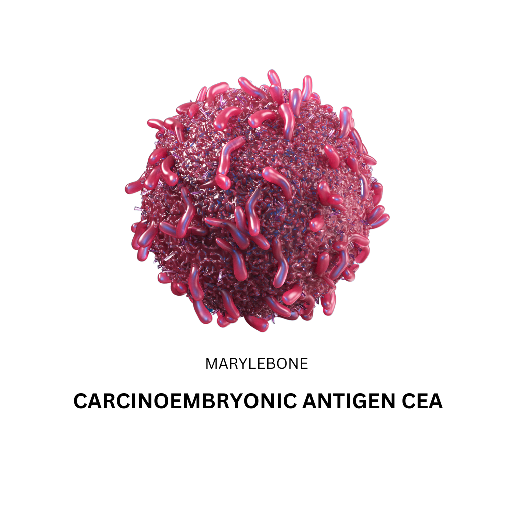 Carcinoembryonic Antigen CEA