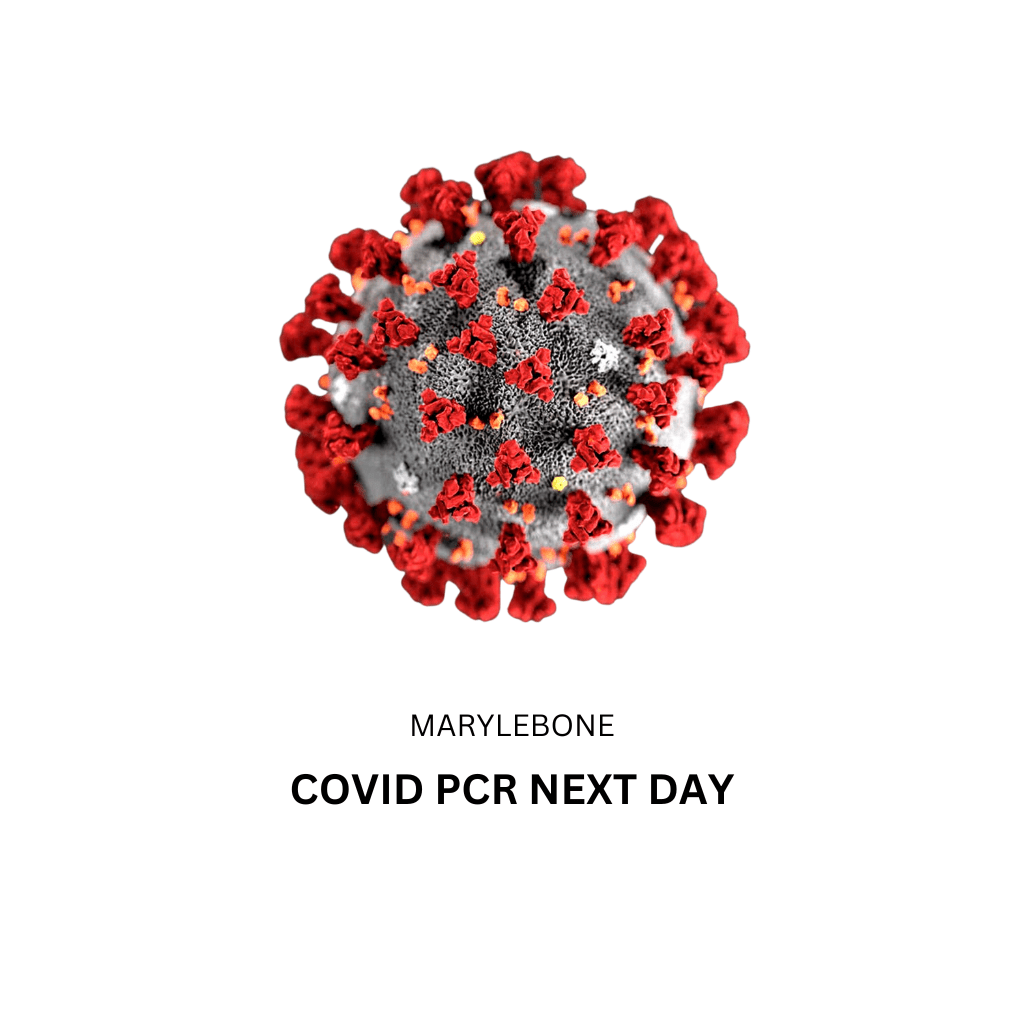 Covid PCR Next Day