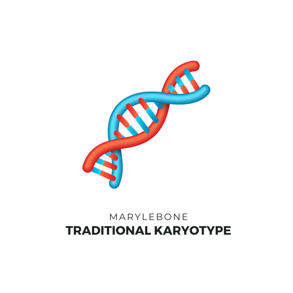 traditional karyotype