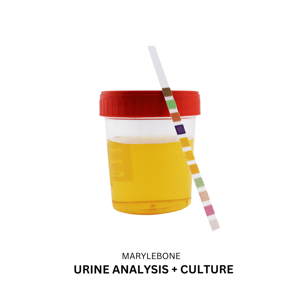 Analysis + Culture Marylebone Diagnostic Centre