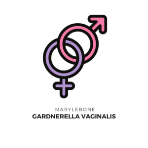 Gardnerella vaginalis
