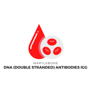 DNA (Double Stranded) Antibodies IgG