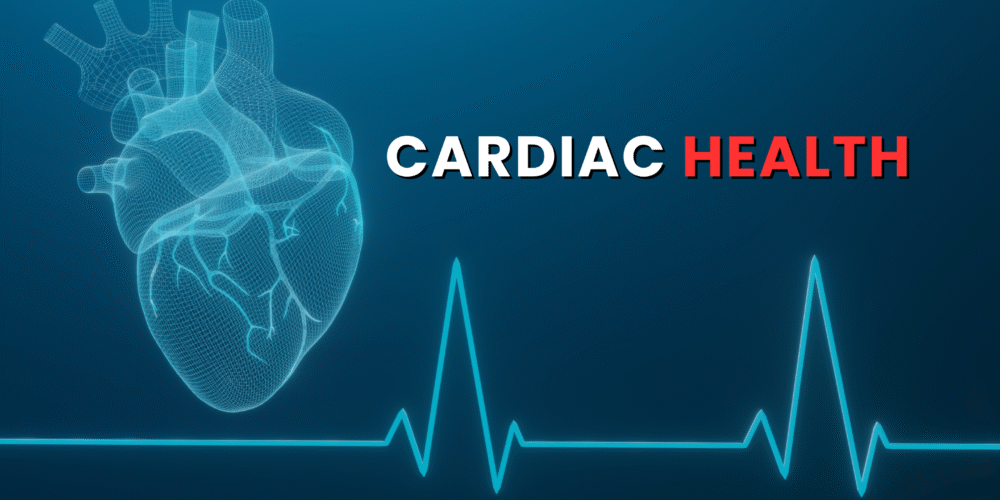 Book Cardiac Health Blood Test in London Today!