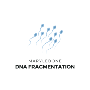 DNA Fragmentation Test