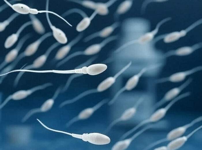 Semen analysis test in London – Male fertility check