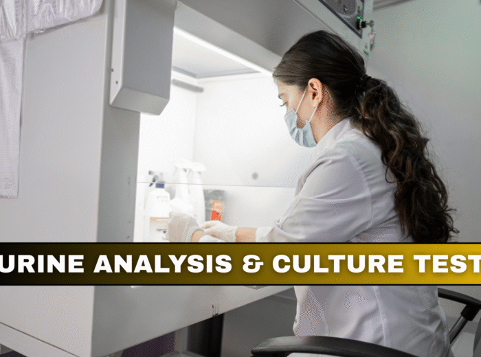 Book Urine Analysis & Culture Test in London Today!