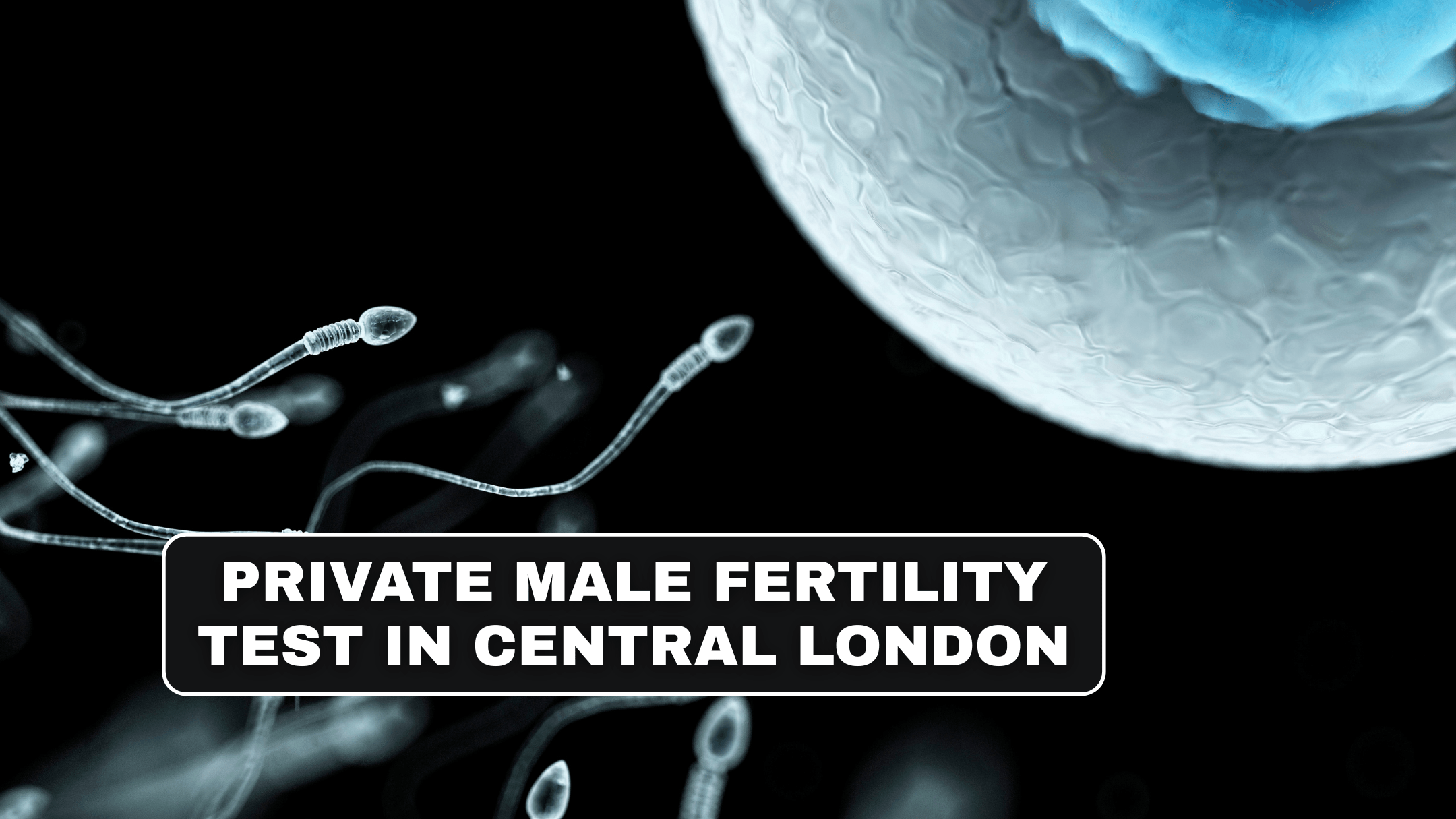 Private Male Fertility Test