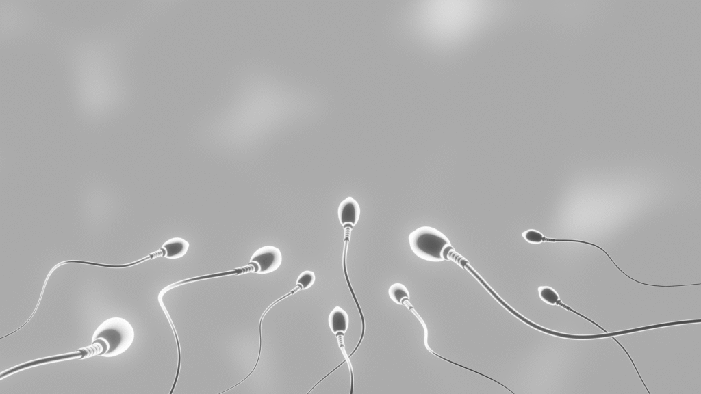Book Male Fertility Test in London Today at Marylebone Diagnostic Centre