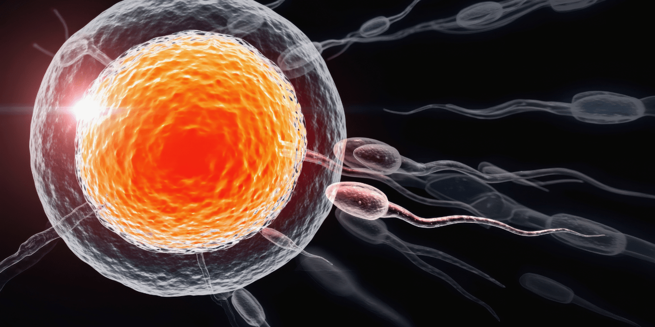 Male fertility testing Central London