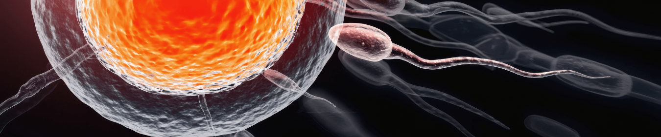 Male fertility testing Central London