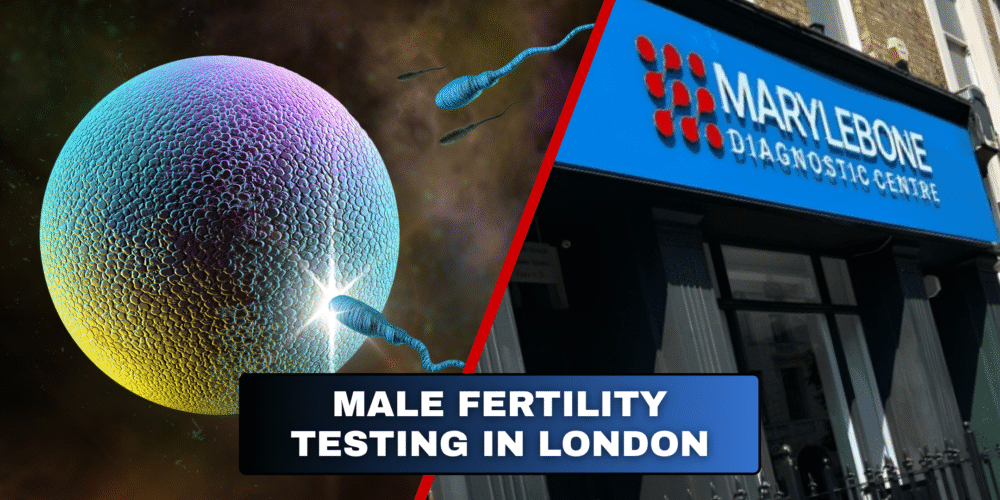 Book Male Fertility Testing in London Today!