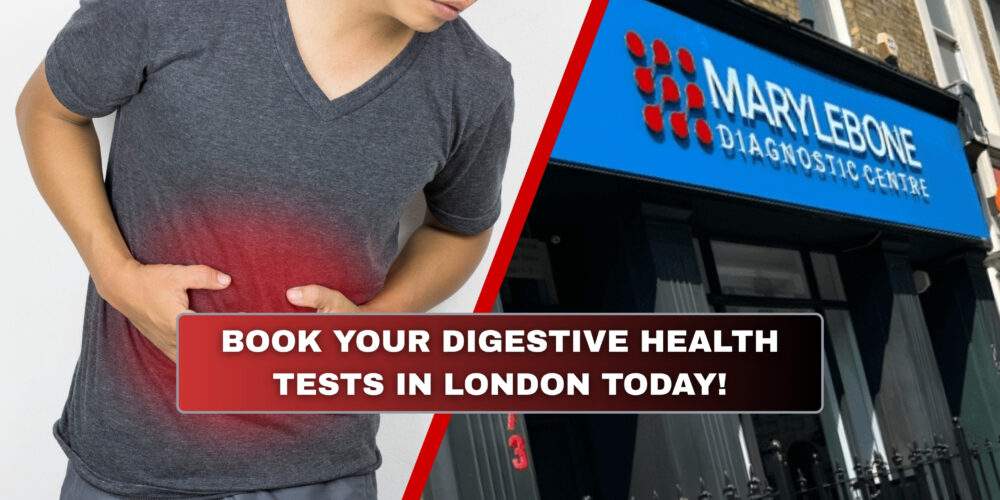Book Your Digestive Health Tests in London Today at Marylebone Diagnostic Centre