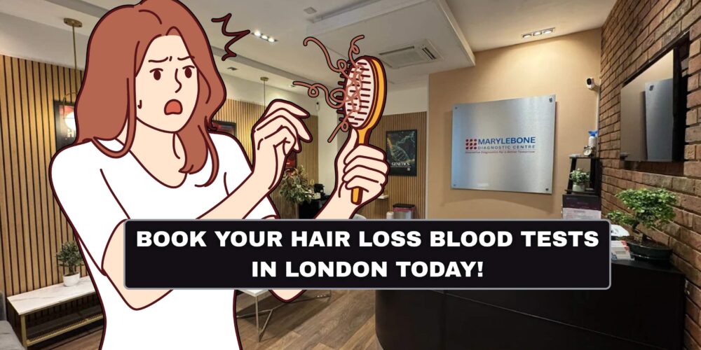 Book Your Hair Loss Blood Tests in London Today What Tests You Need at Marylebone Diagnostic Centre