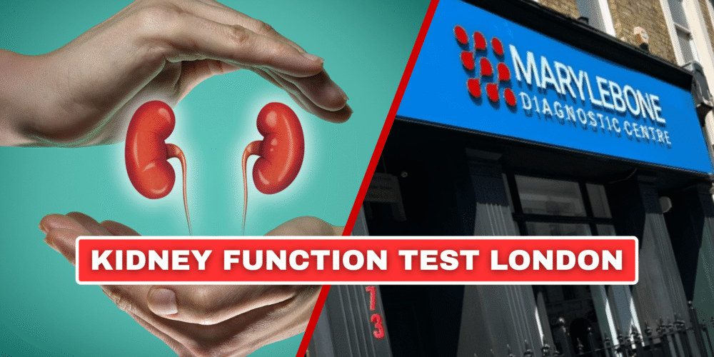 Book Your kidney function test in London Today!