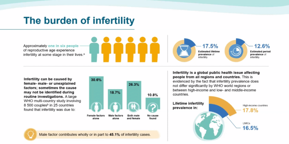 WHO Releases New 2025 Infertility Guideline - What It Means for Patients in London