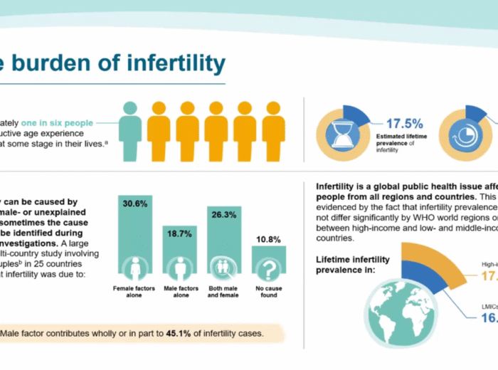 WHO Releases New 2025 Infertility Guideline - What It Means for Patients in London