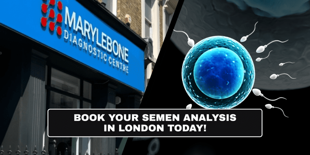 Book Semen Analysis Tests in London Today What Tests You Need at Marylebone Diagnostic Centre