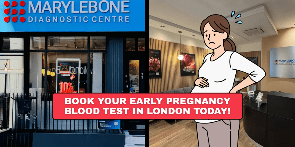 Book Your Early Pregnancy Blood Tests in London Today What Tests You Need at Marylebone Diagnostic Centre