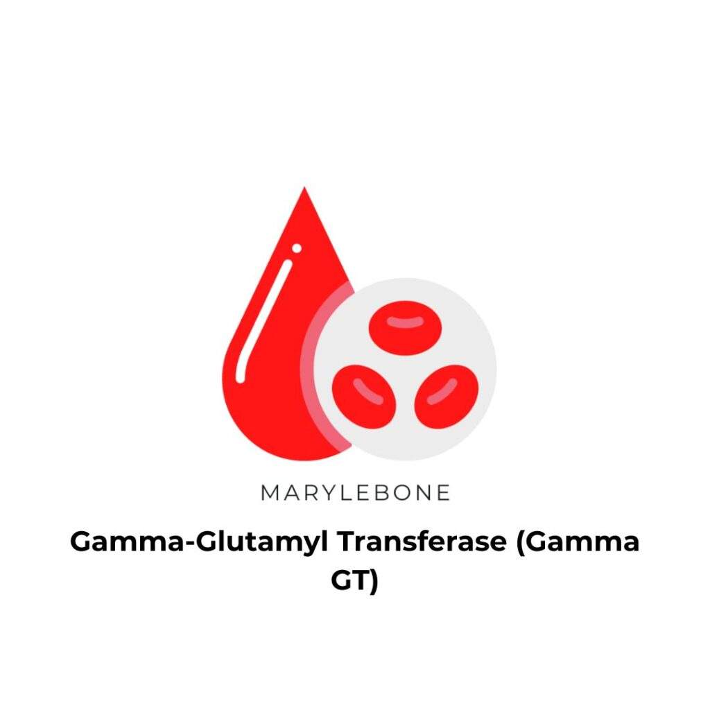 gamma‑glutamyl-transferase-gamma-gt-blood-test-in-london-at-marylebone-diagnostic-centre