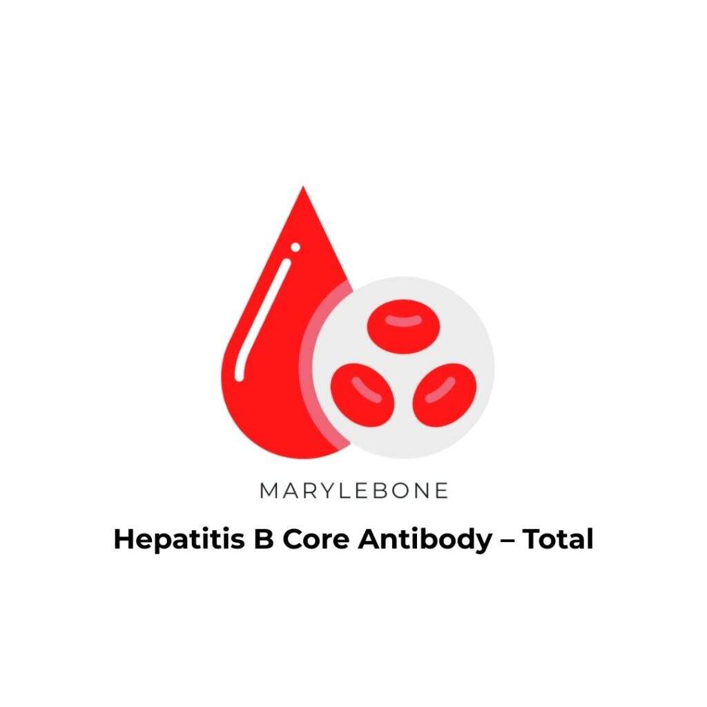 Hepatitis B Core Antibody – Total-blood-test-in-london-at-marylebone-diagnostic-centre