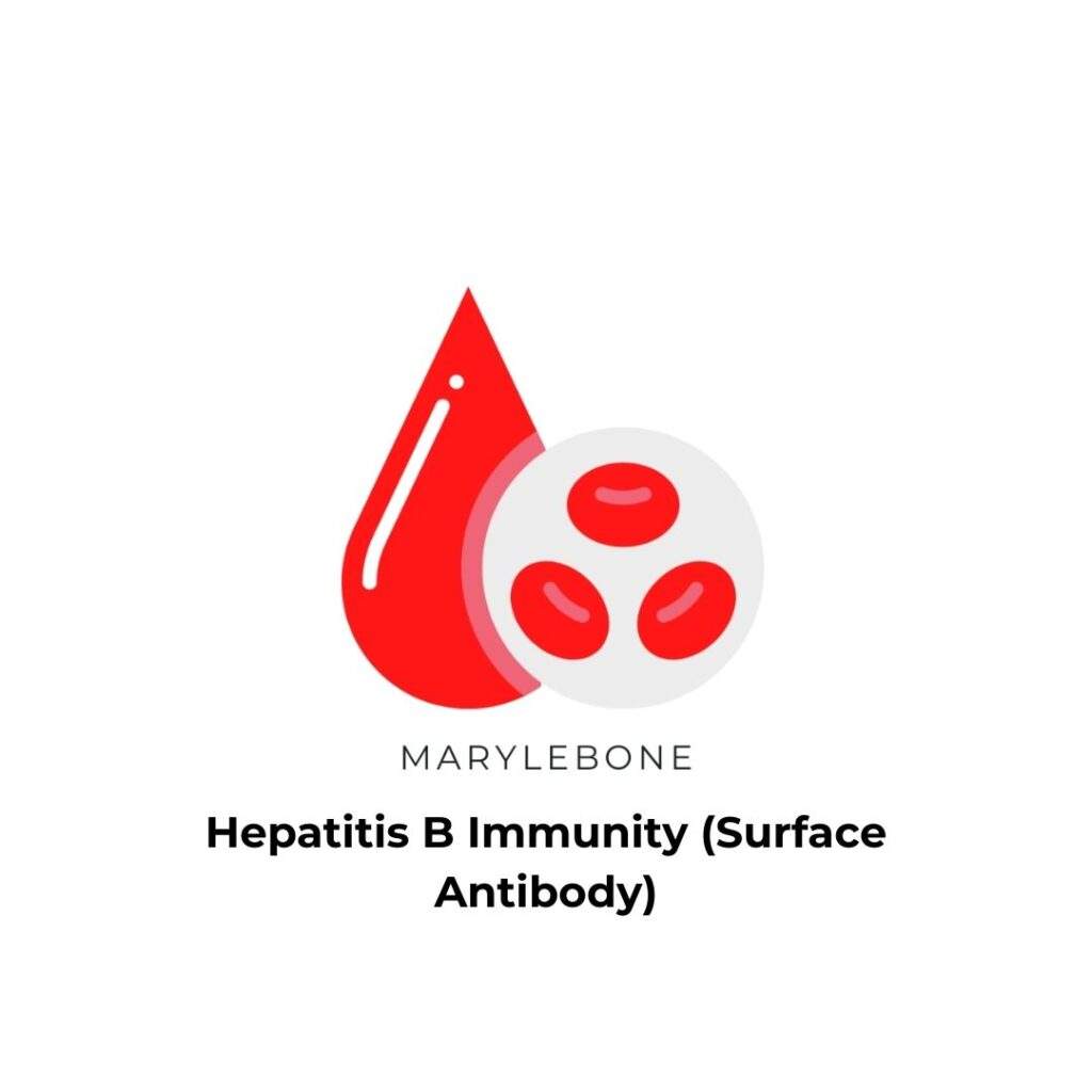 Hepatitis B Immunity (Surface Antibody)-blood-test-in-london-at-marylebone-diagnostic-centre