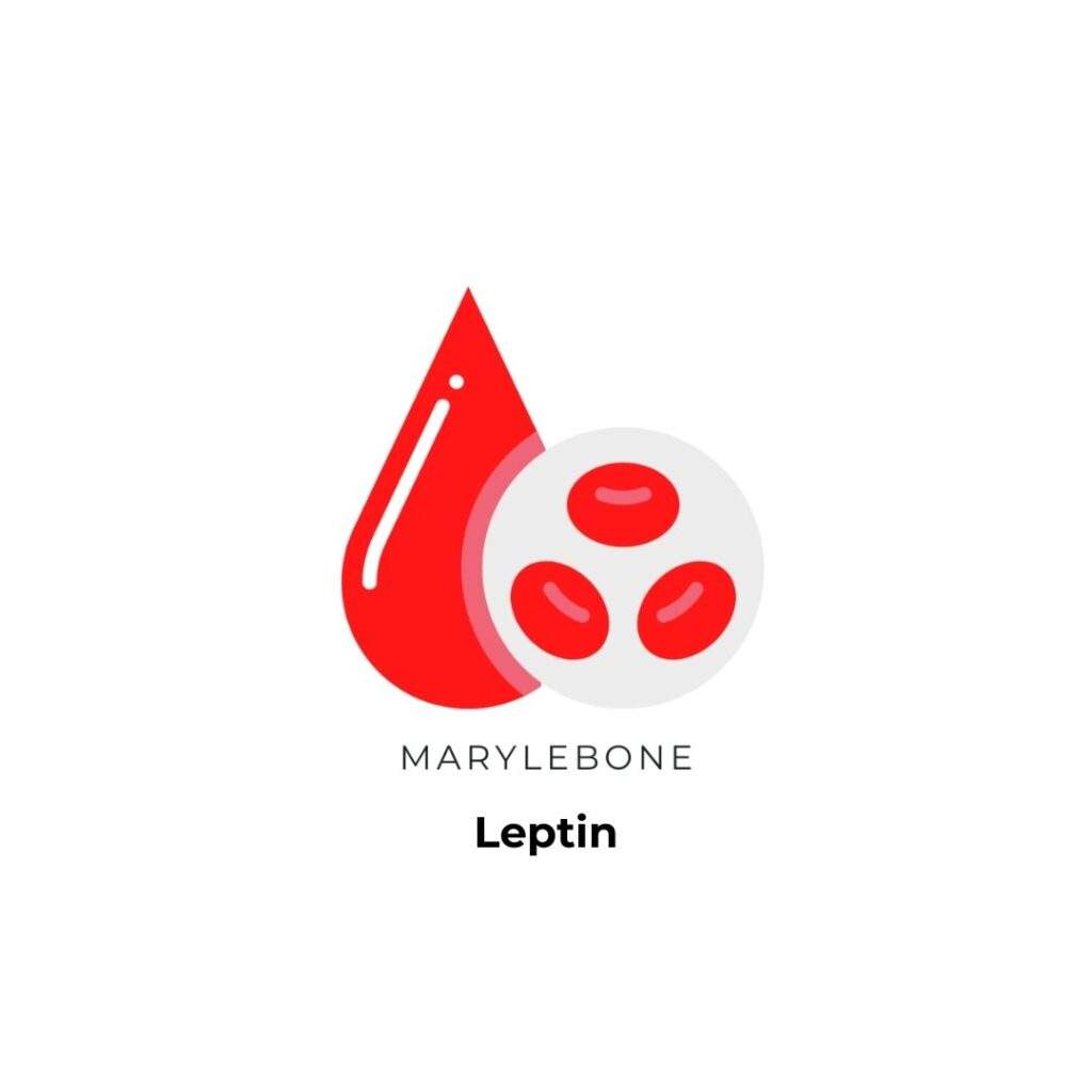Leptin-blood-test-in-london-at-marylebone-diagnostic-centre