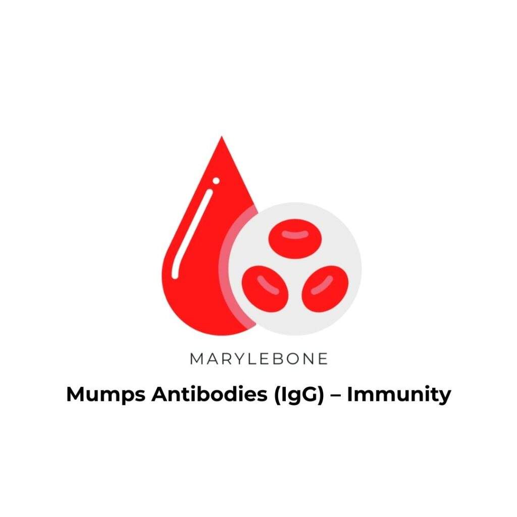 Mumps Antibodies (IgG) – Immunity-blood-test-in-london-at-marylebone-diagnostic-centre