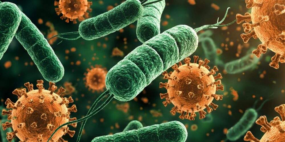 Nipah Virus Why Immune Health Matters More Than Headlines