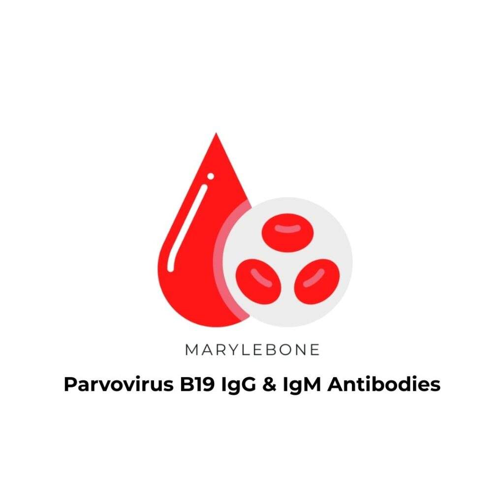 Parvovirus B19 IgG & IgM Antibodies-blood-test-in-london-at-marylebone-diagnostic-centre