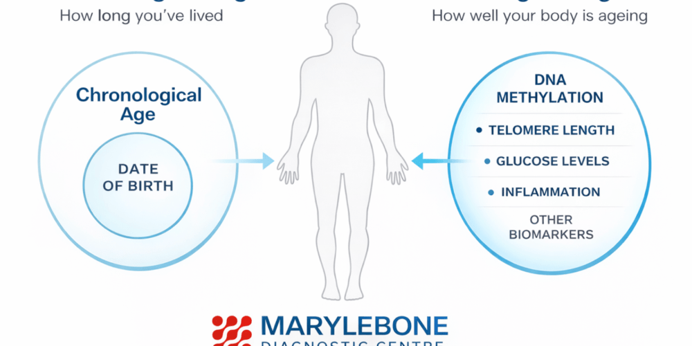 Why Diagnostics Is the Next Frontier of Longevity Medicine
