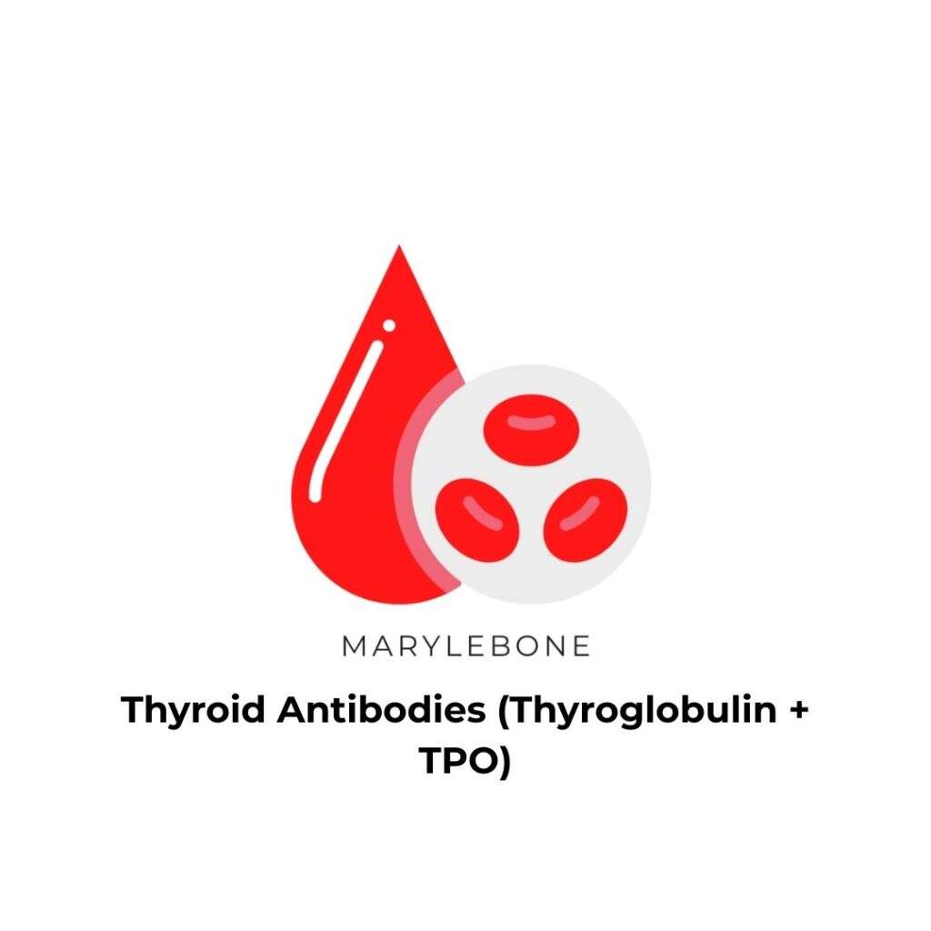 Thyroid Antibodies (Thyroglobulin + TPO) Test