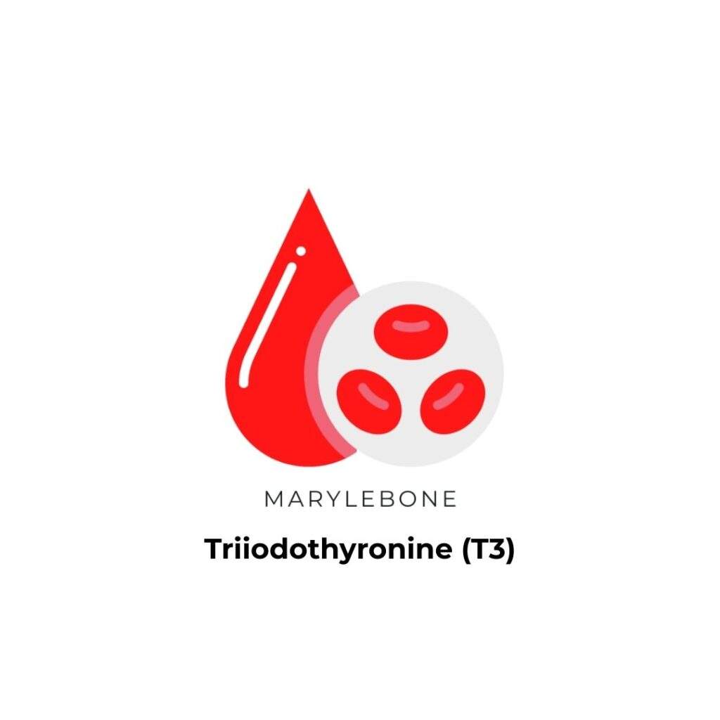 Triiodothyronine (T3) Test