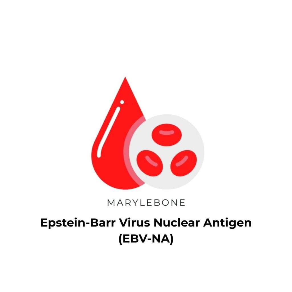 Epstein-Barr Virus Nuclear Antigen (EBV-NA) Test in Marylbone