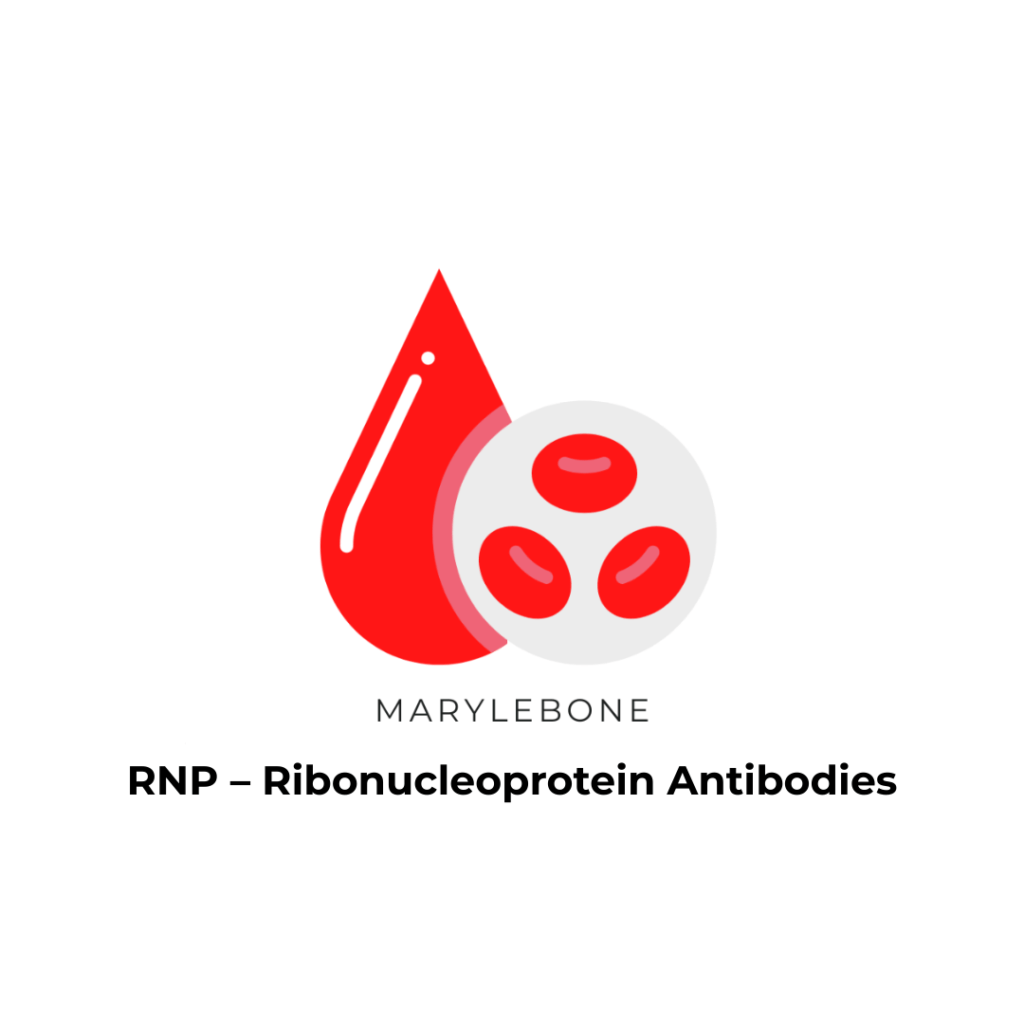 RNP – Ribonucleoprotein Antibodies test in Marylbone