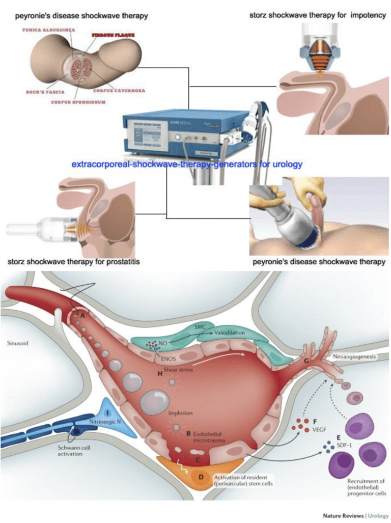 Screenshot 2026-03-18 at 11.36.54 PM