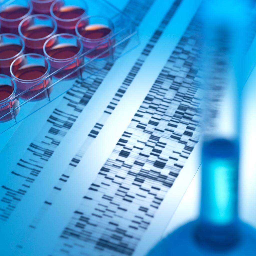 Cancer Genetic Risk Assessment