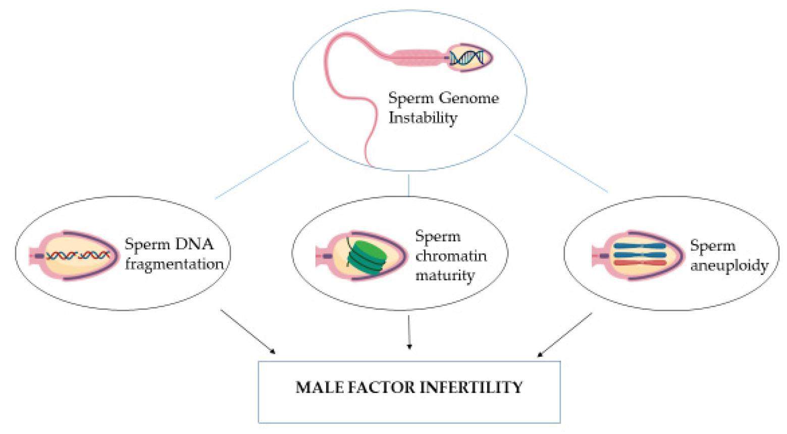 FISH probe laboratory review