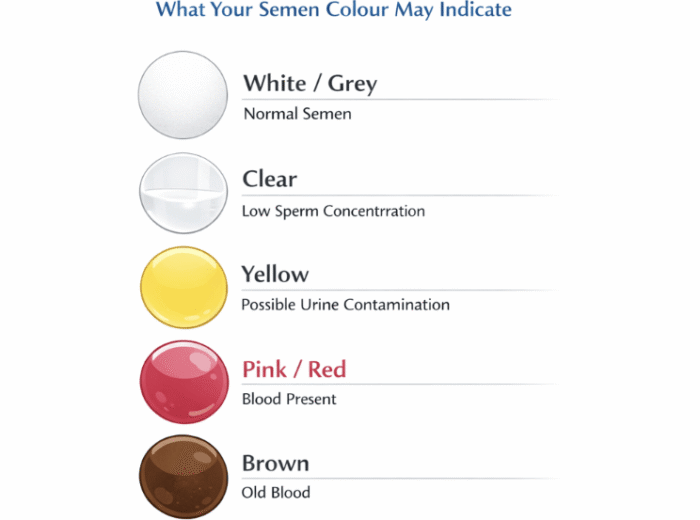 Semen colour can tell you more than you think. While many changes are harmless, some may signal an underlying issue. The key is knowing what is normal and when to act.