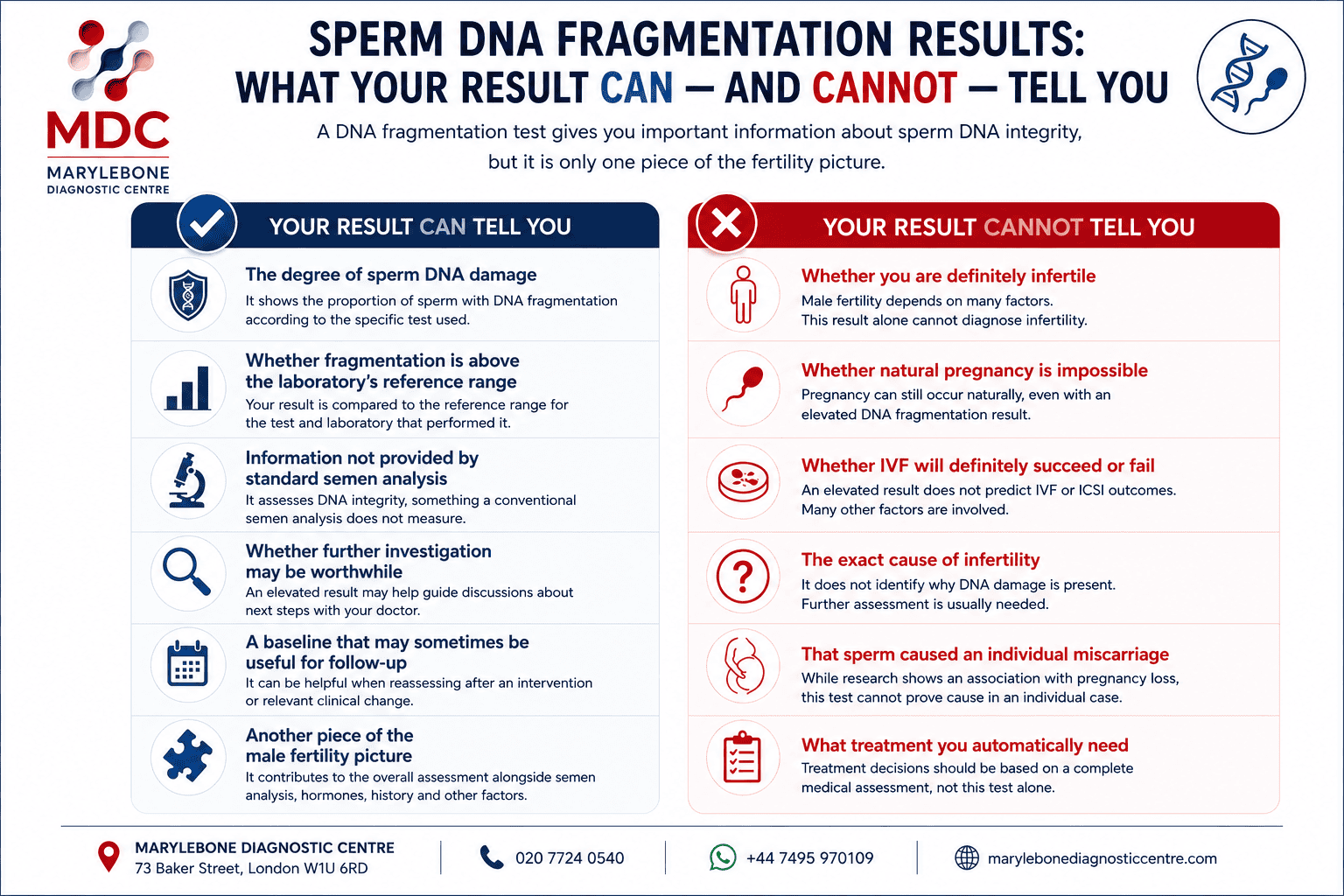 High DNA Fragmentation: What the result does and does not tell you