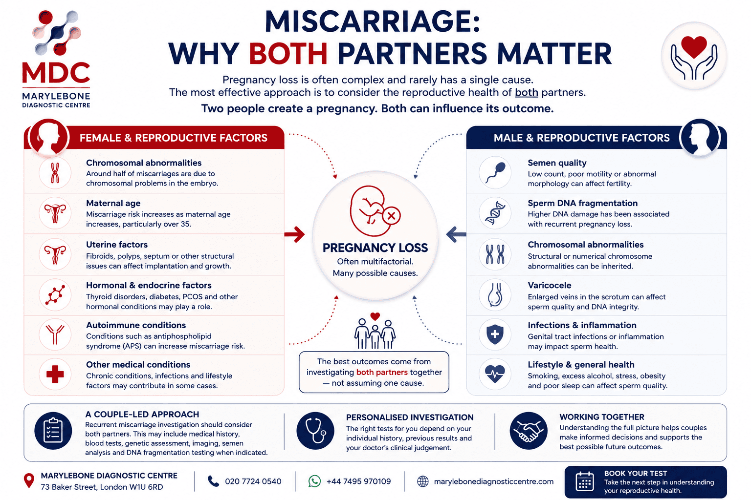 Sperm DNA Fragmentation and Miscarriage: What We Know and What We Don't