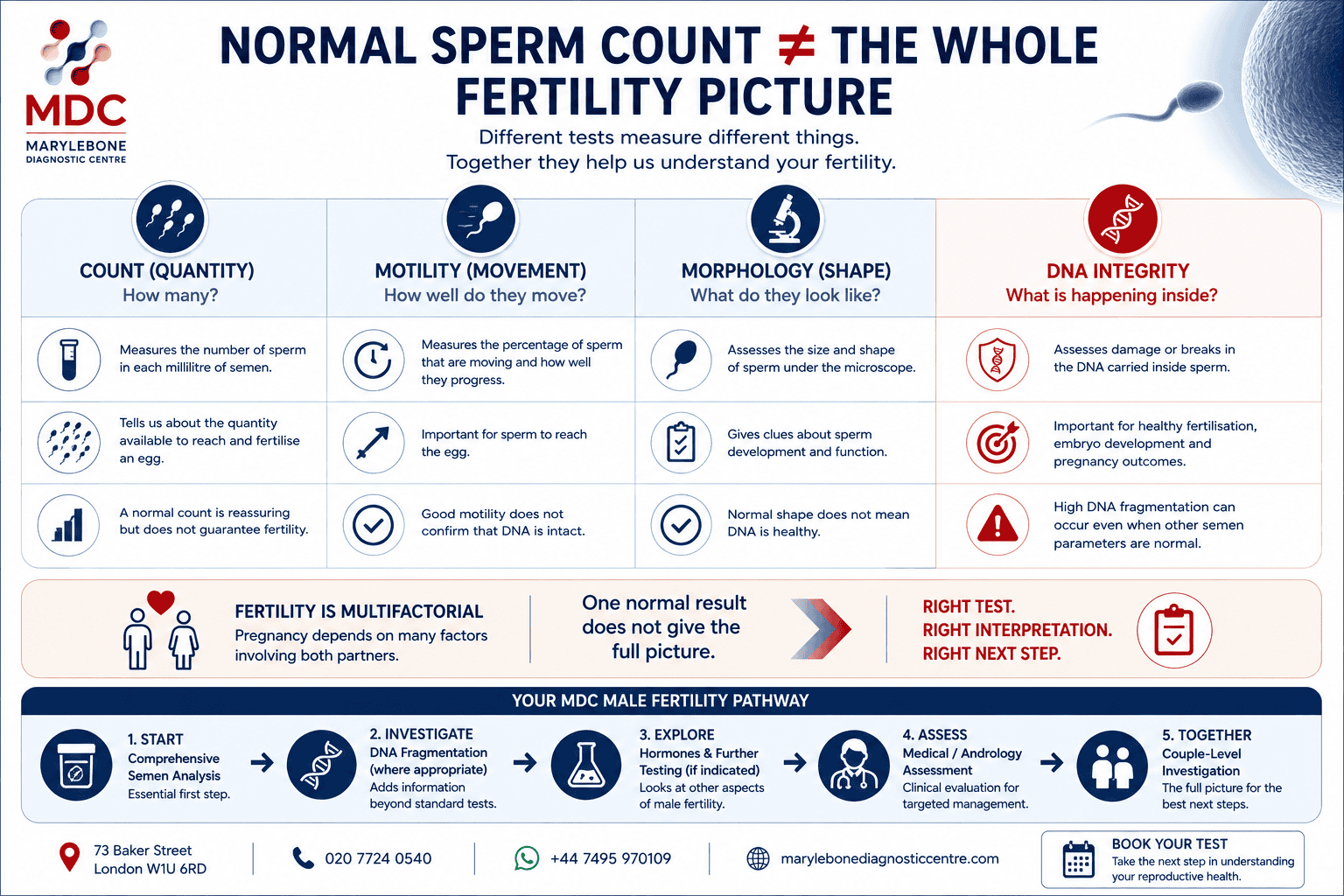 Normal Sperm Count vs DNA Fragmentation: The Key Difference